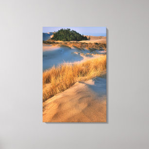 Impressão Em Tela Paisagem das Dunas de Areia de Oregon