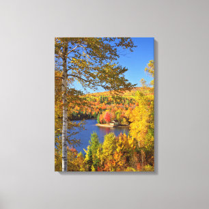 Impressão Em Tela Paisagem de árvore de outono, Maine
