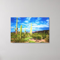 Paisagem de cacto do deserto, Arizona