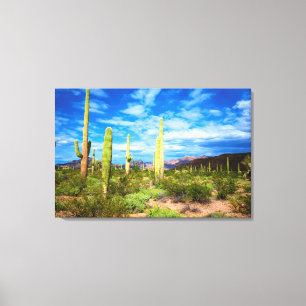 Impressão Em Tela Paisagem de cacto do deserto, Arizona