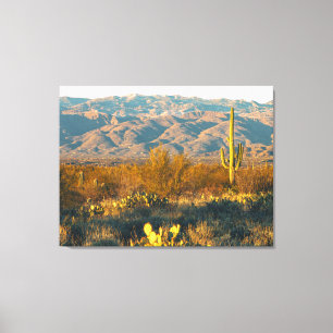 Impressão Em Tela Paisagem Desértica com Cacto Saguaro