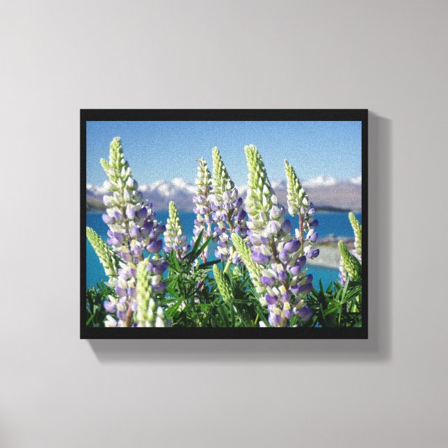 Impressão Em Tela Paisagem Lupine Nova Zelândia (Frente)