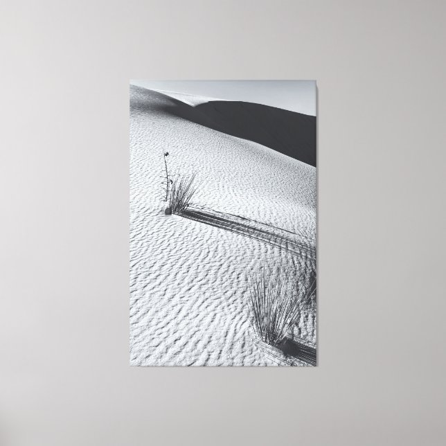 Impressão Em Tela Paisagem monocromática do deserto com tufos de gra (Frente)