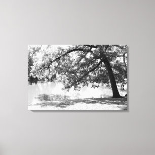 Impressão em Tela Paisagem Preto e Branco