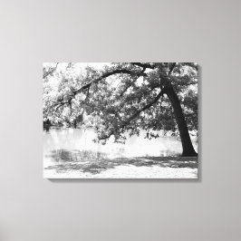 Impressão em Tela Paisagem Preto e Branco