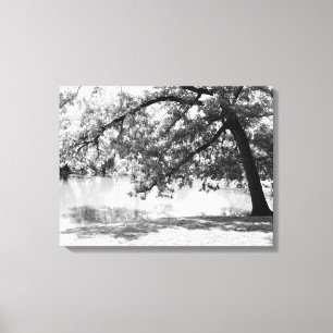 Impressão em Tela Paisagem Preto e Branco