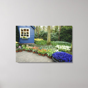 Impressão Em Tela Países Baixos (também conhecido por Holland), Li