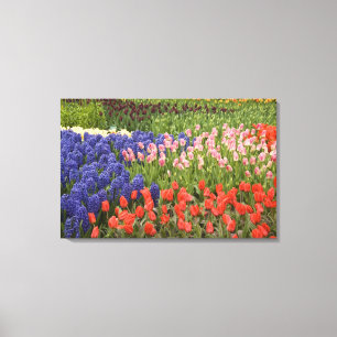 Impressão Em Tela Países Baixos (também conhecido por Holland), Li