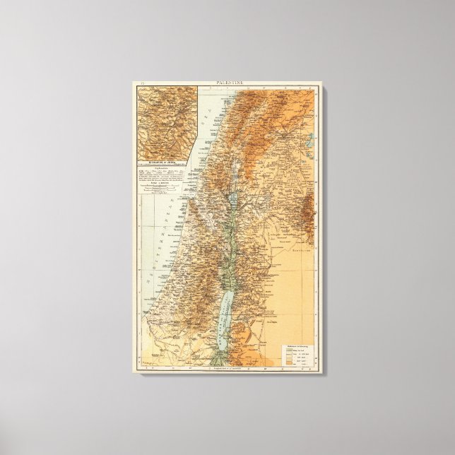 Impressão Em Tela Palestina 5 (Frente)