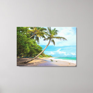 Impressão Em Tela Palma de coco, praia   Sri Lanka de Mirissa