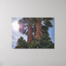 IMPRESSÃO EM TELA PALMAS NO DESERTO 1