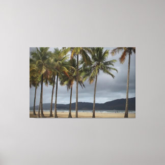 Impressão Em Tela Palmeiras em Gonzaga Beach, Santos, Brasil