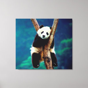 Impressão Em Tela Panda Bear