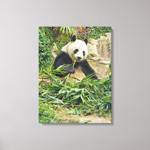 Impressão Em Tela Panda comendo tela de tela de exibição de bambu