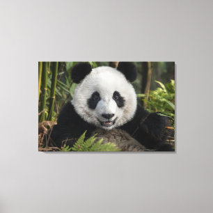 Impressão Em Tela Panda jovem feliz, China