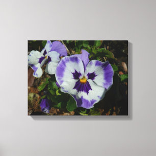 Impressão Em Tela Pansies roxas e brancas Floral Colorido
