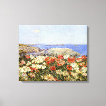 Papagaios selvagens nas ilhas dos calçados