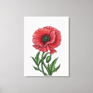 Impressão Em Tela Papoila vermelha, aquarela e tinta