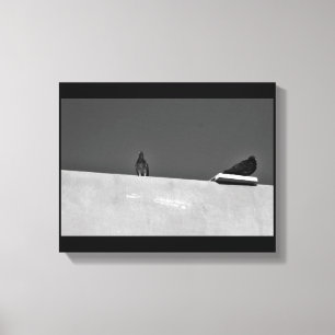 Impressão Em Tela Par de Pombo