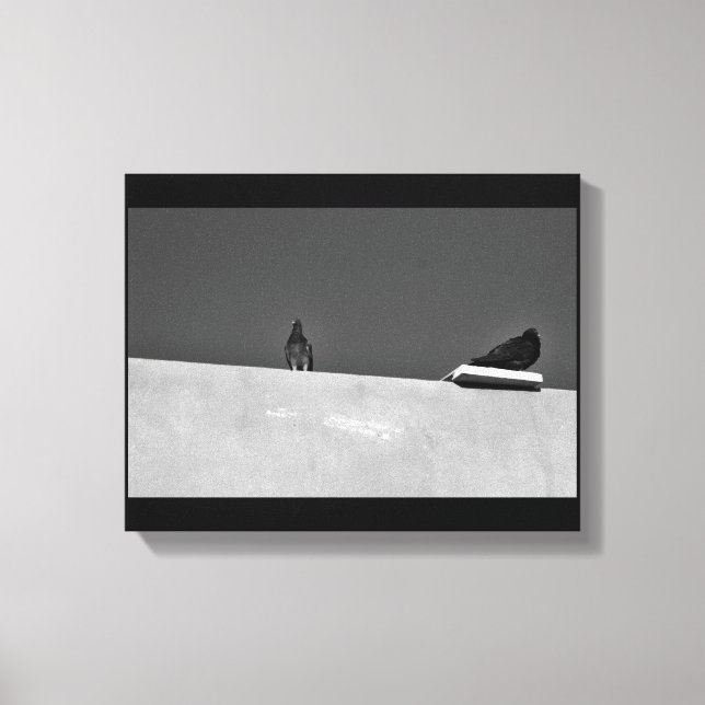 Impressão Em Tela Par de Pombo (Frente)