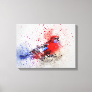 Impressão Em Tela Parakeet