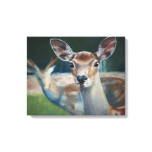 PARCEIROS PARA A VIDA