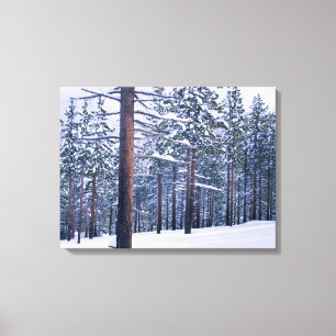Impressão Em Tela PARQUE ESTADUAL DO LAGO TAHOE, NEVADA. EUA. Neve f