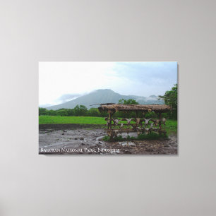 Impressão Em Tela Parque Nacional da Montanha Baluran Indonésia Foto