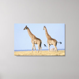 Impressão Em Tela Parque nacional de Etosha, Namíbia
