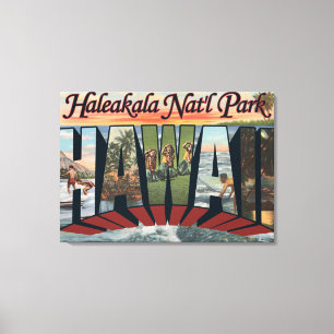 Impressão Em Tela Parque nacional de Haleakala, Havaí