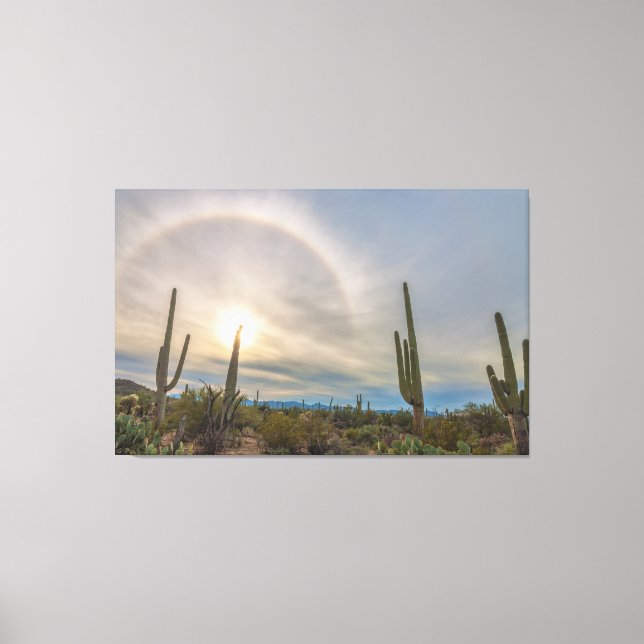 Impressão Em Tela Parque Nacional do Saguaro (Frente)