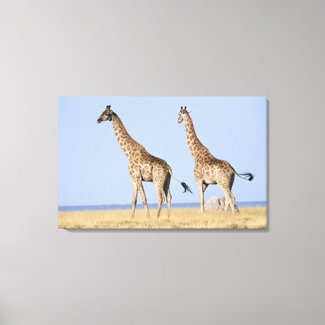 Impressão Em Tela Parque Nacional Etosha, Namíbia 3 (Frente)