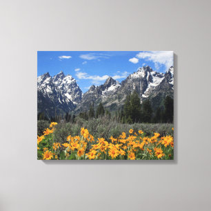 Impressão Em Tela Parque Nacional Grand Teton