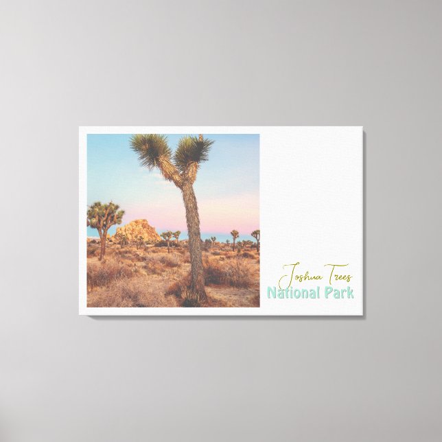 Impressão Em Tela Parque Nacional Joshua Trees (Frente)