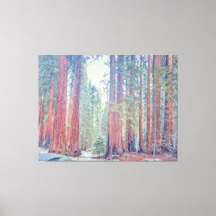 Impressão Em Tela Parque Nacional Sequoia