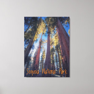 Impressão Em Tela Parque Nacional Sequoia Califórnia