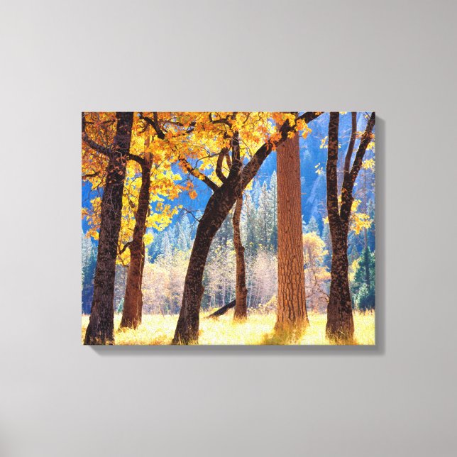 Impressão Em Tela Parque Nacional Yosemite (Frente)