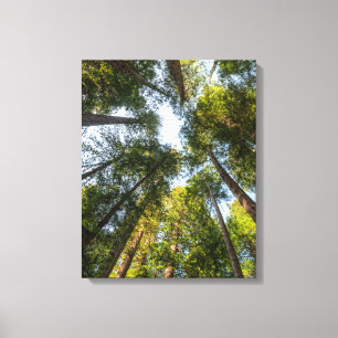 Impressão Em Tela Parques Nacionais e Estaduais de Redwood, Califórn