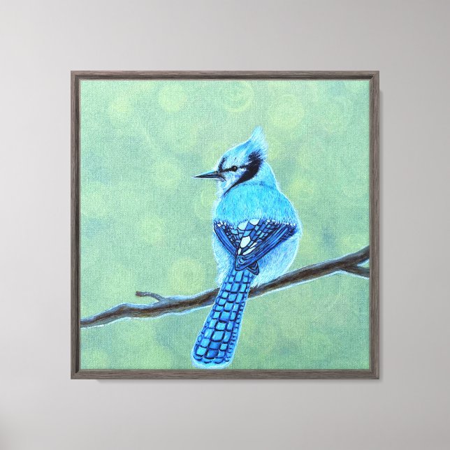 Impressão Em Tela Pássaro azul-jay (Frente)