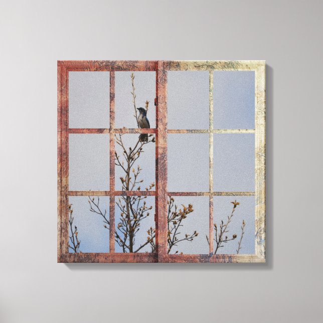 Impressão Em Tela Pássaro Azul na Janela (Frente)