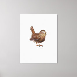 Impressão Em Tela Pássaro Wren (Troglodytes Troglodytes)