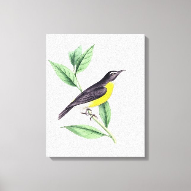 Impressão Em Tela Pássaro | Zazzle_Growth. (Frente)