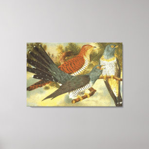 Impressão Em Tela Pássaros Cuckoo com Telas de Arte Moderna Imprimi