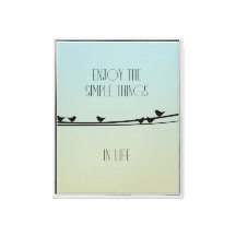 Pássaros de Coisas Simples