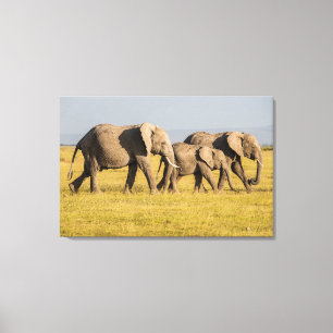 Impressão Em Tela Passeio da família do elefante