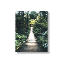 Passeio Pela Floresta