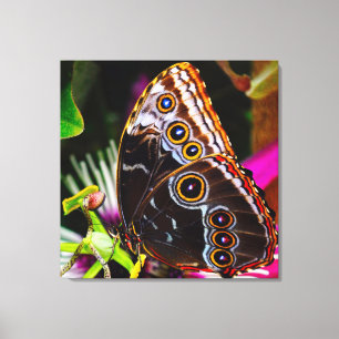 Impressão Em Tela Passiflora VIOLACEA e uma borboleta amorfa azul