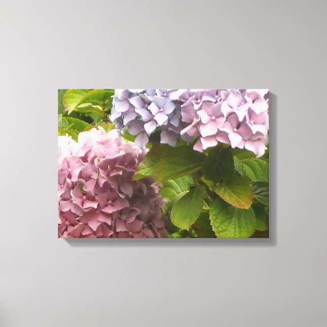 Impressão Em Tela Pastel Hydrangeas (Frente)