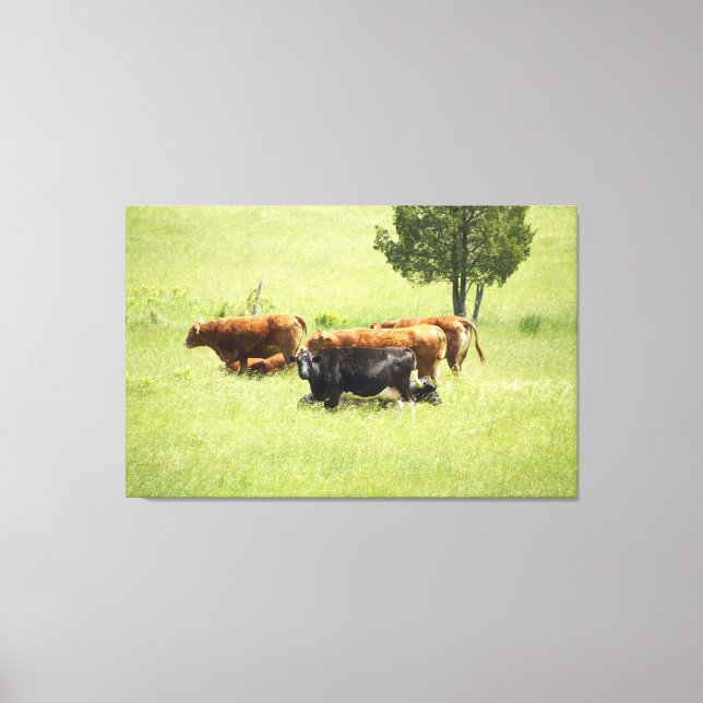 Impressão Em Tela Pastoral (Frente)