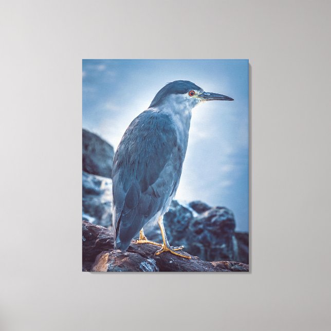 Impressão Em Tela Patagonian Riverbird, Ushuaia, Argentina (Frente)